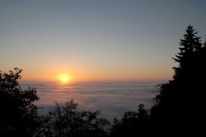 Picture of SUNSET SILHOUETTE I