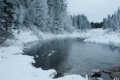 Picture of WINTER ON THE LAKE I