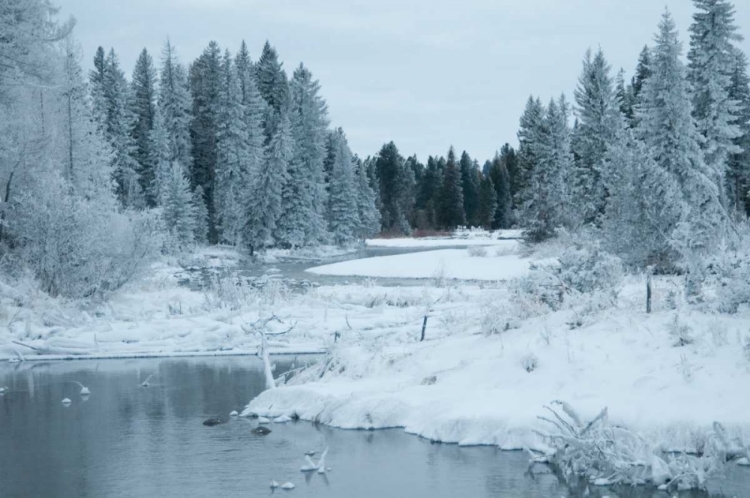 Picture of WINTER ON THE LAKE II