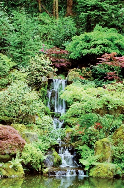 Picture of JAPANESE GARDEN