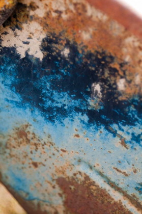 Picture of RUST BLUES I