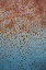 Picture of RUST ON ANTIQUE CAR I