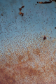 Picture of RUST ON ANTIQUE CAR II