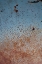 Picture of RUST ON ANTIQUE CAR II