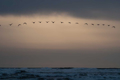 Picture of OREGON COAST SUNSET I