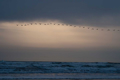 Picture of OREGON COAST SUNSET II