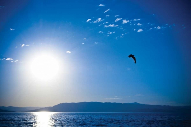 Picture of FLATHEAD LAKE