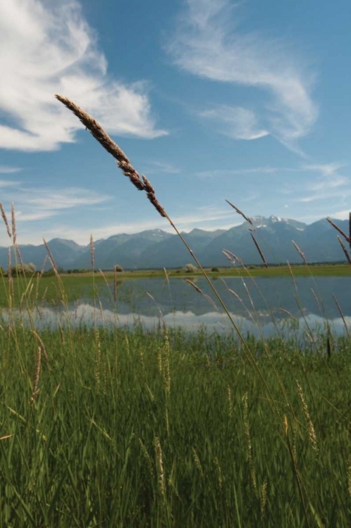 Picture of MISSION MOUNTAIN REFLECTIONS