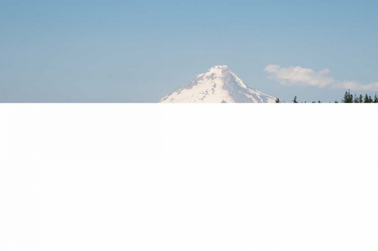 Picture of MOUNT HOOD OVER TIMOTHY LAKE