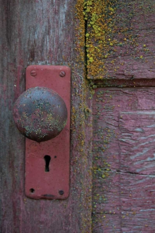 Picture of BARN DOOR