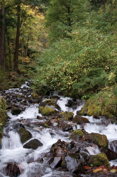 Picture of WAHKEENA FALLS II