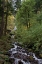 Picture of WAHKEENA FALLS III