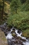 Picture of WAHKEENA FALLS IV