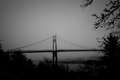 Picture of ST. JOHNS BRIDGE V