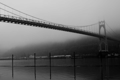 Picture of ST. JOHNS BRIDGE VI