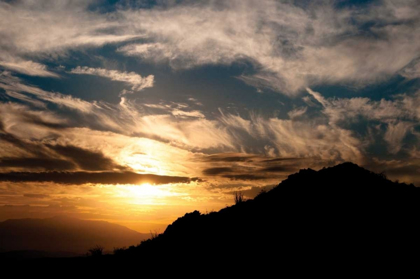 Picture of SUNSET IN JOSHUA TREE I