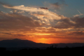 Picture of SUNSET IN JOSHUA TREE I