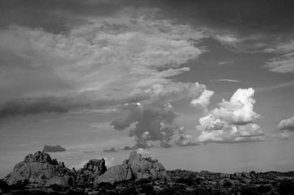Picture of CLOUDS IN JOSHUA TREE I