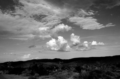 Picture of CLOUDS IN JOSHUA TREE II
