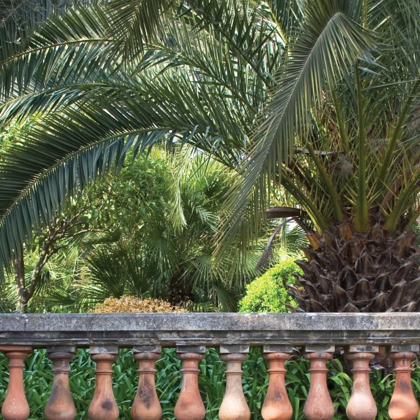 Picture of PALACE GARDEN PALMS I