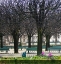 Picture of JARDIN DE NOTRE DAME I
