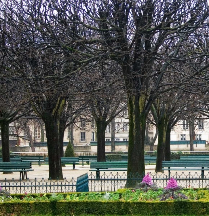 Picture of JARDIN DE NOTRE DAME I