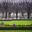 Picture of JARDIN DE NOTRE DAME II