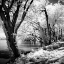 Picture of SPRING ON THE RIVER SQUARE II