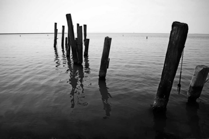 Picture of PILINGS I