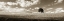 Picture of CLOUDY SKIES PANEL I