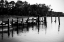 Picture of FORGOTTEN PIER II