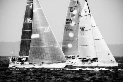 Picture of RACE ON THE CHESAPEAKE III
