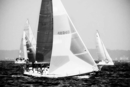 Picture of RACE ON THE CHESAPEAKE IV