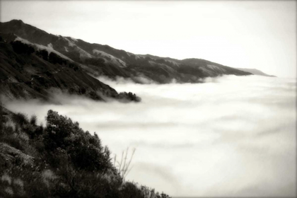 Picture of PACIFIC FOG I