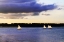 Picture of SUNFISH SAILORS I
