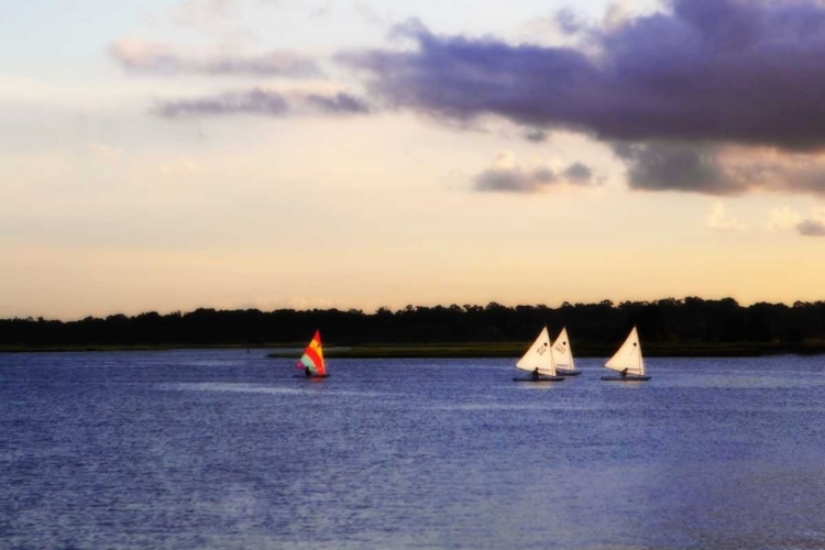 Picture of SUNFISH SAILORS II