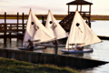 Picture of THREE SUNFISH II