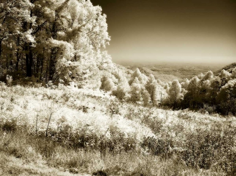 Picture of SWIFT RUN GAP I