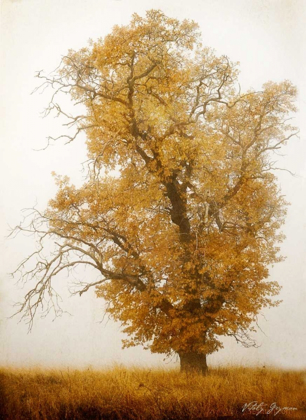 Picture of AUTUMN MIST I