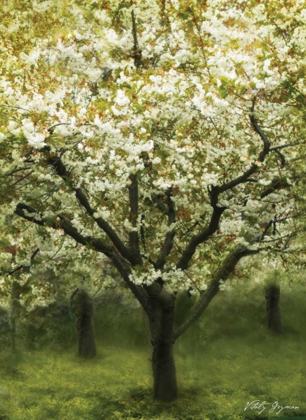 Picture of WHITE CHERRY TREE I