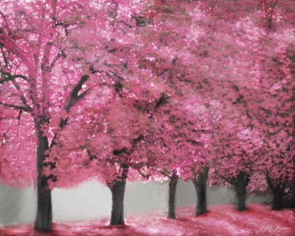 Picture of BLOSSOM HEAVEN I