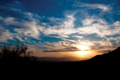 Picture of SUNSET IN JOSHUA TREE I