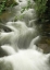 Picture of SOOTHING WATERS I