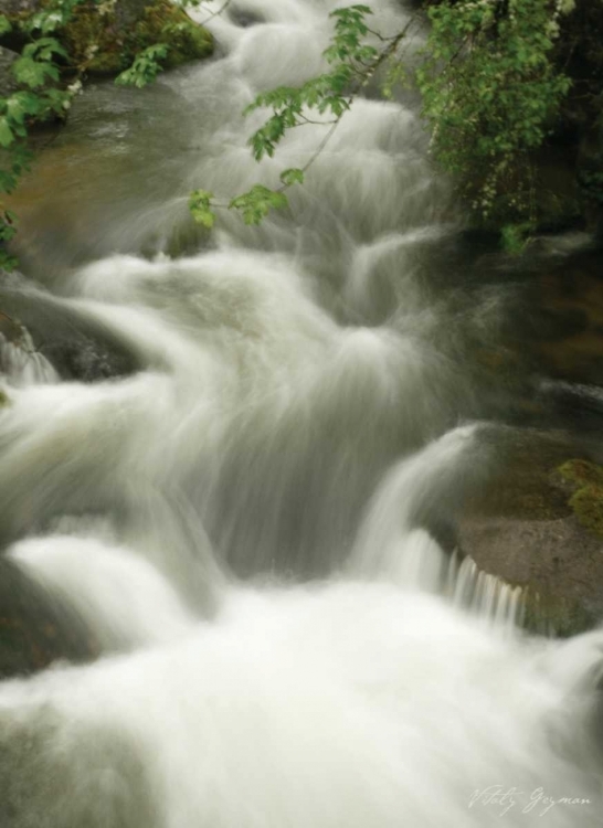 Picture of SOOTHING WATERS I