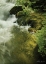 Picture of SOOTHING WATERS IV