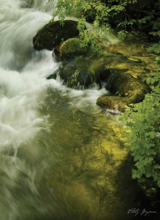 Picture of SOOTHING WATERS IV