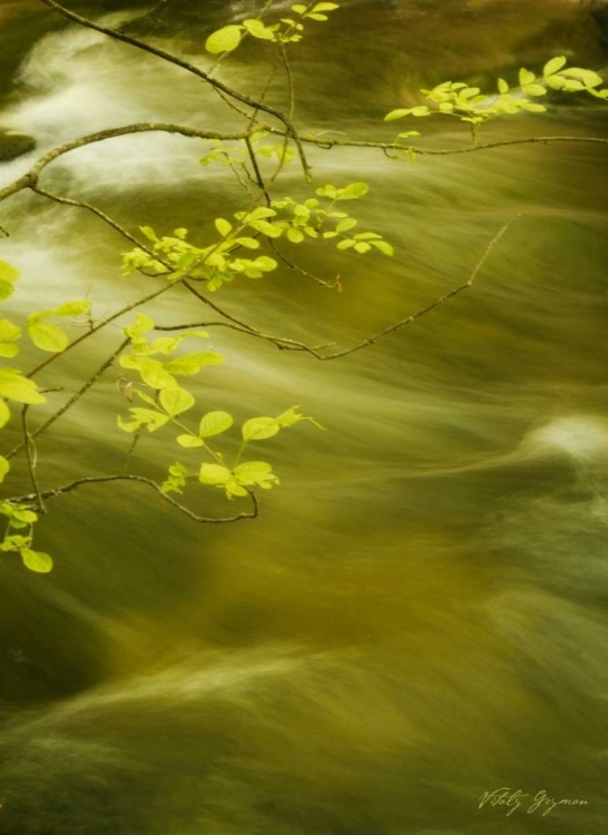 Picture of SOOTHING WATERS VII