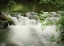 Picture of SOOTHING WATERS XII