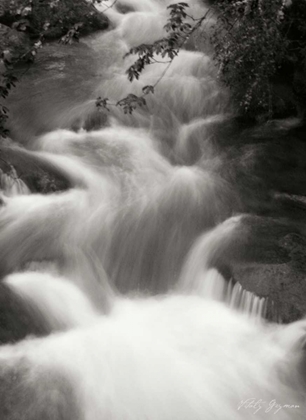 Picture of FLOWING WATERS I