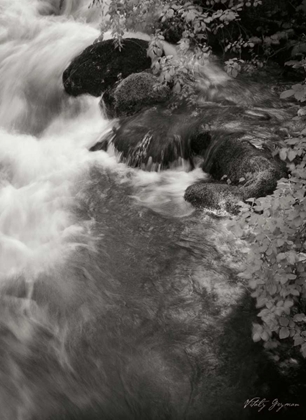 Picture of FLOWING WATERS II
